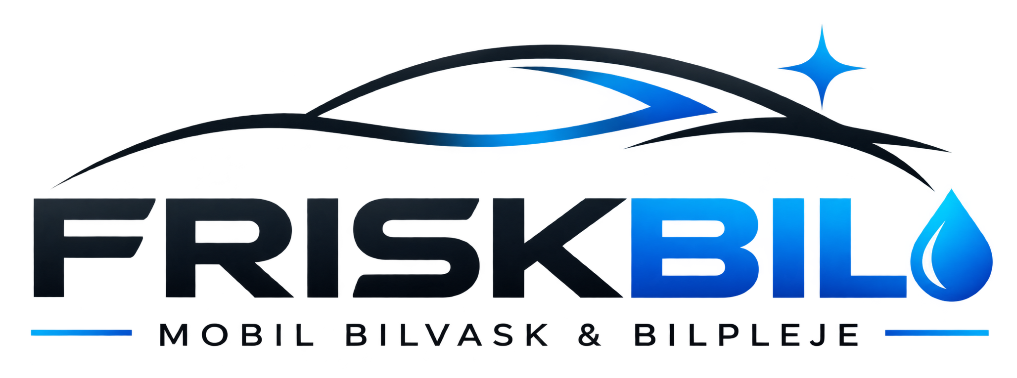 friskbil